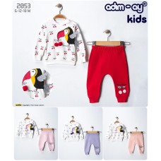 ADIMAY 2053 KIRAZLI PENYE TAKIM