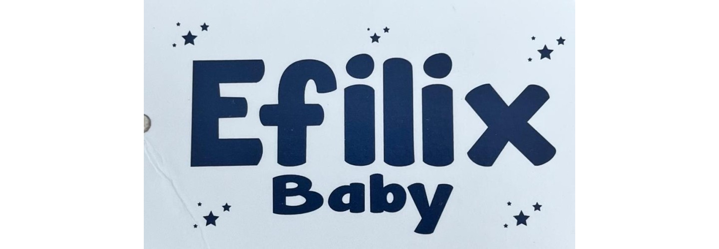 Efilix