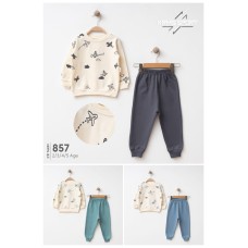 KARAMSA 857 2IP UÇAKLI ERKEK  TAKIM