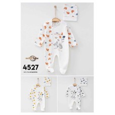 MELISH 4527 4531 PENYE TULUM